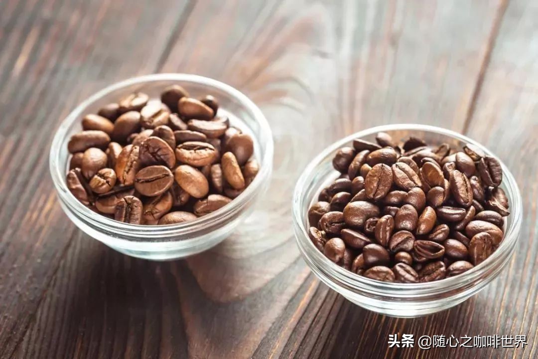 咖啡从采摘到制作过程视频,咖啡采摘加工过程