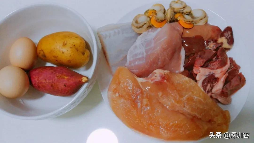 深圳猫市,深圳猫市场