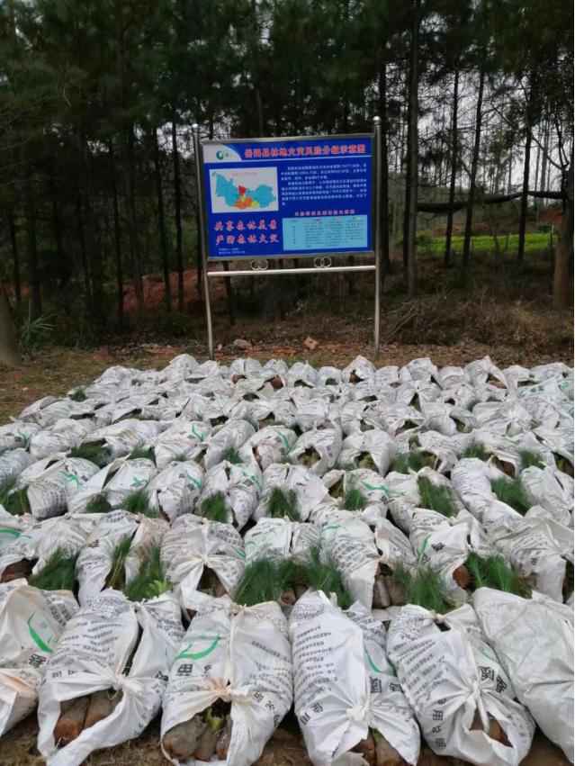 鑼傛簮鏋椾笟,鑼傛簮鏋椾笟鏈夐檺鍏徃