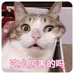 宝宝能喝凉的纯牛奶吗,喝凉奶对身体有害吗