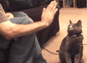 520送礼物哪里选礼物比较好,520送礼物清单你准备好了吗