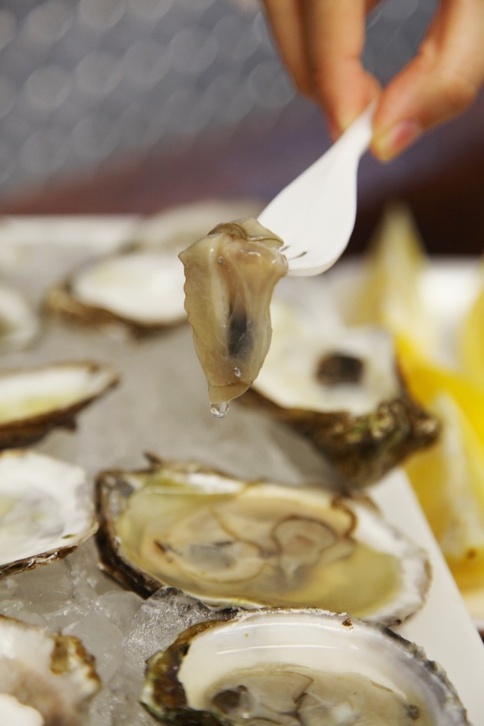 「怀念系列」加拿大（5）｜品尝奥巴马同款枫叶糖