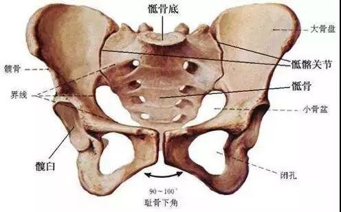孕期盆底修复操视频教程,孕期锻炼盆底肌的瑜伽体式