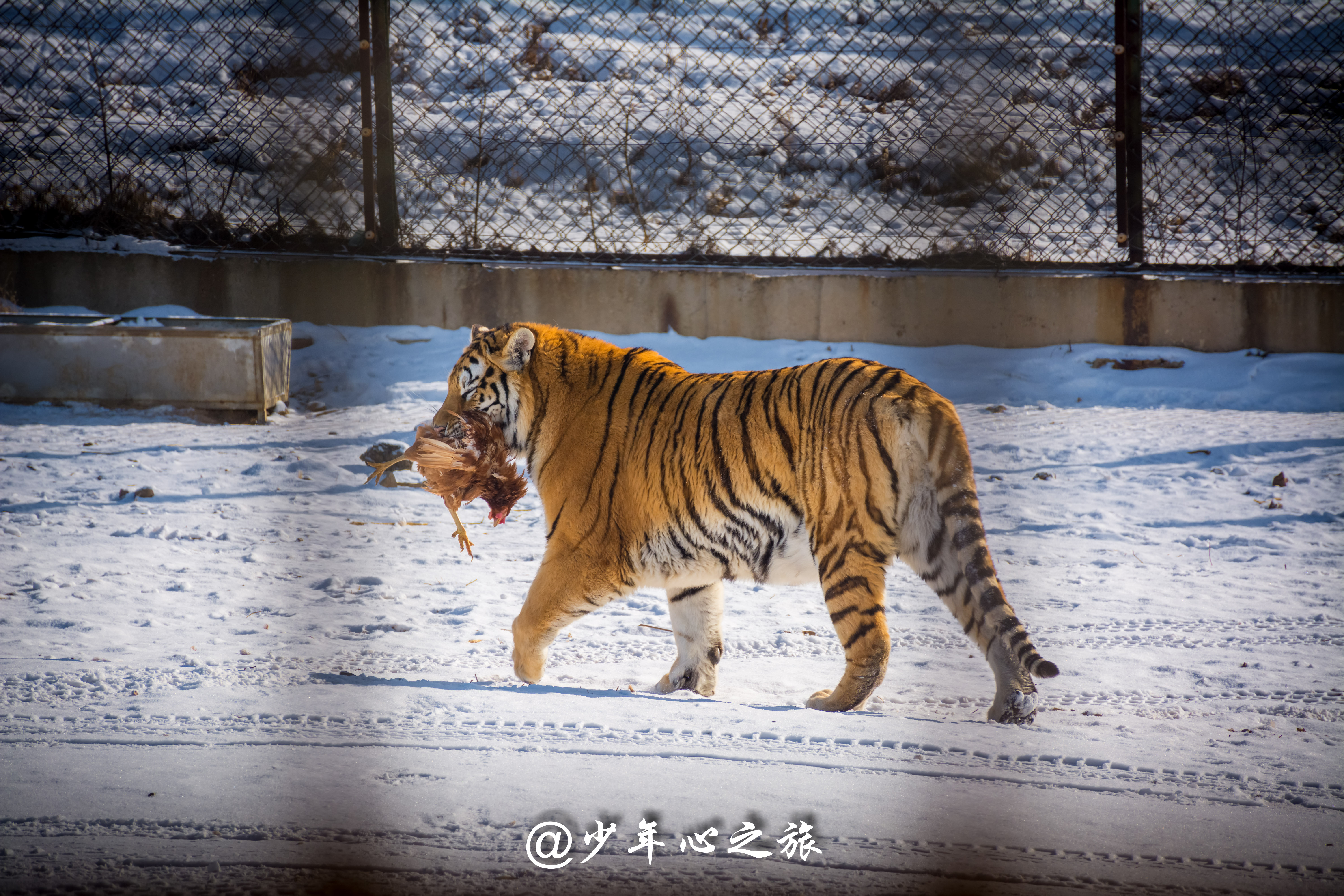 沈阳怪坡风景区门票多少钱,沈阳十大景点怪坡一日游攻略
