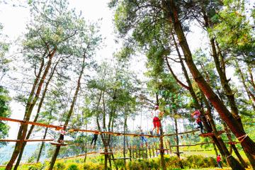 新堡·枫叶谷旅游度假区最新视频,枫叶谷旅游度假区优惠政策