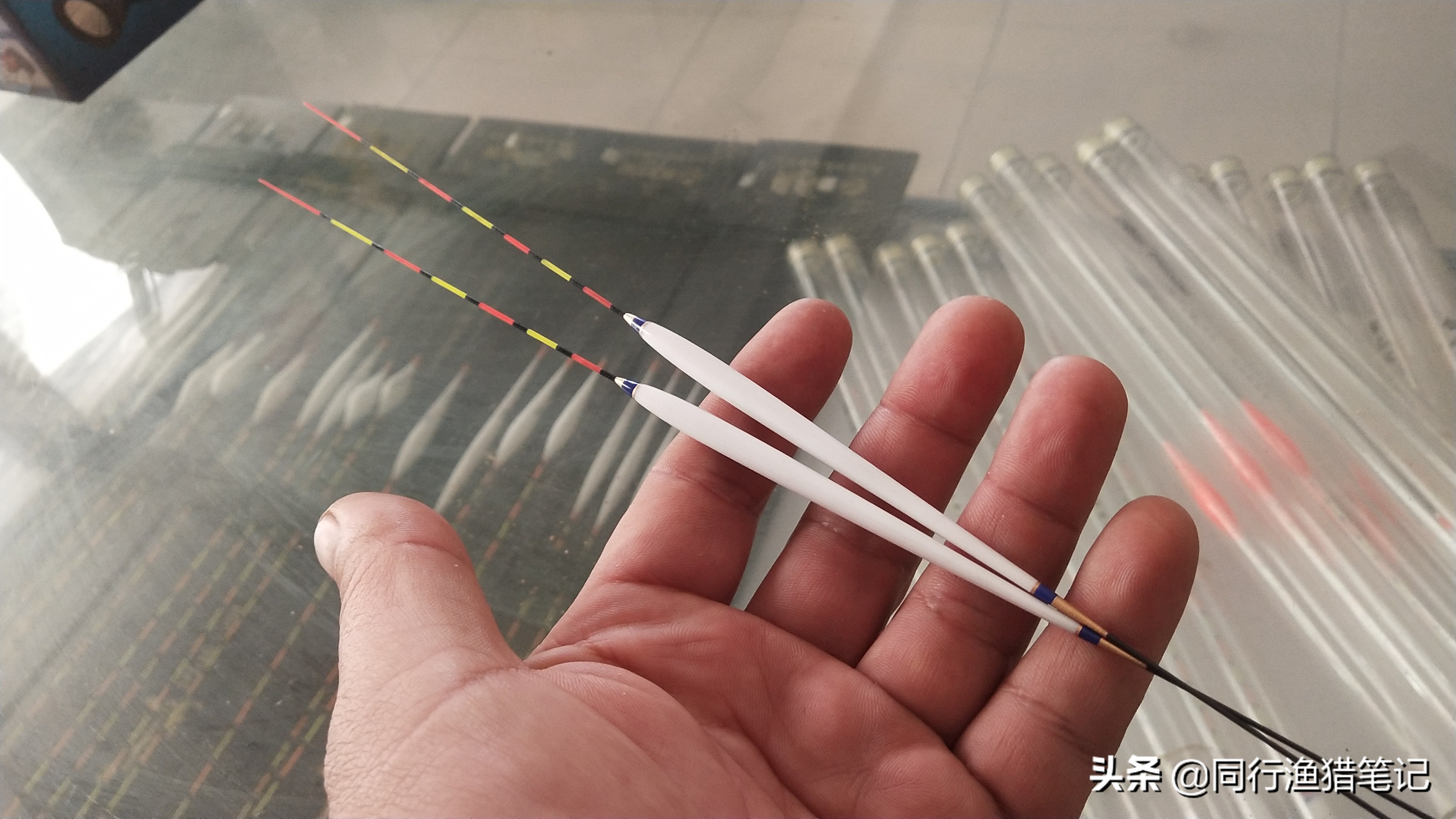 新手选鱼漂应该选什么样的,正常鱼漂该怎么选