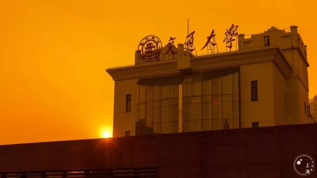 生日当天上海免费景点,上海网红打卡地点景点免费