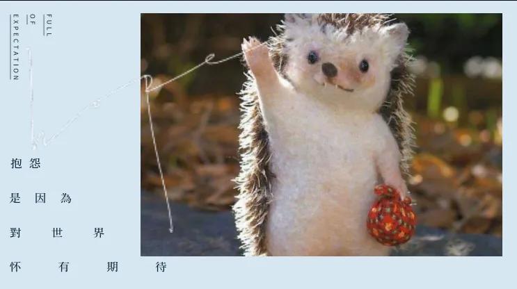 为什么我们这么喜欢毒鸡汤,为什么难识破鸡汤文