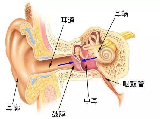 坐飞机耳朵疼适合哪个位置,坐飞机戴耳机能缓解耳朵疼吗