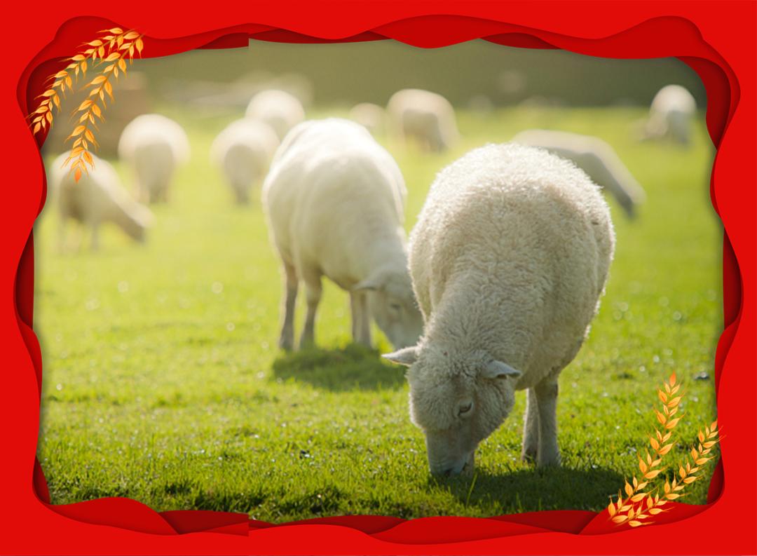 农村要六畜兴旺,六畜兴旺的图片