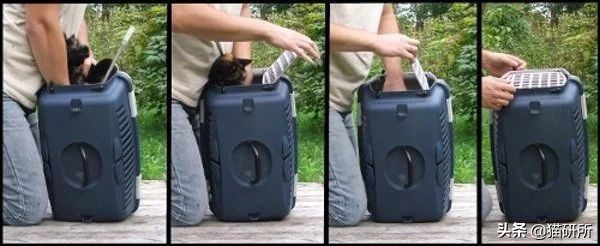 应该如何引导猫咪进航空箱,怎样让猫咪不害怕主人