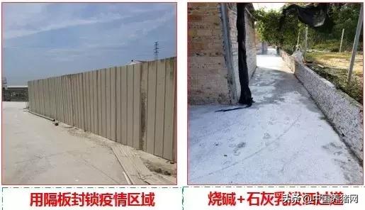 有非瘟如何拔牙,非瘟发生后如何拔牙