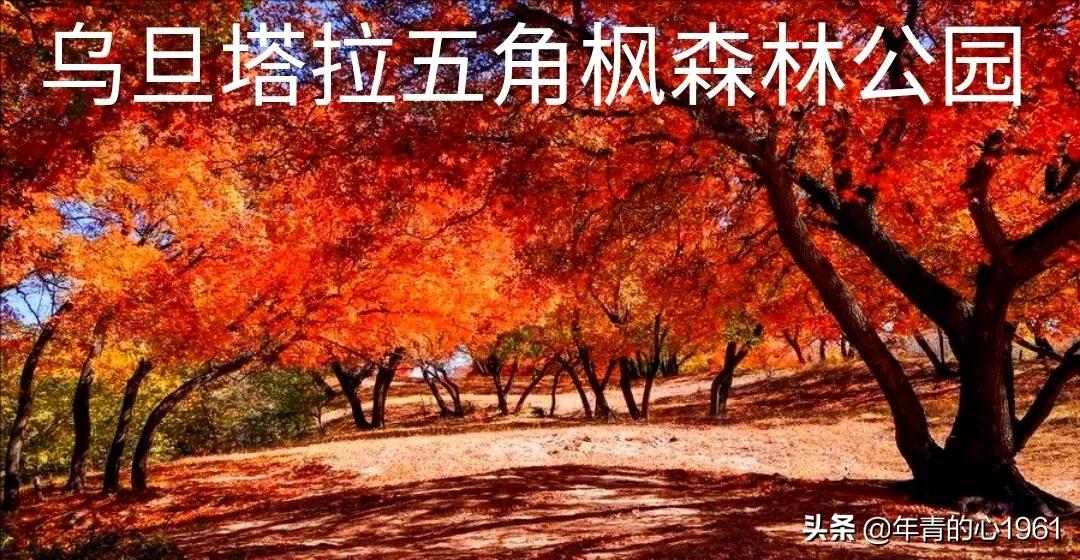 自驾游该怎么玩？（终结篇）