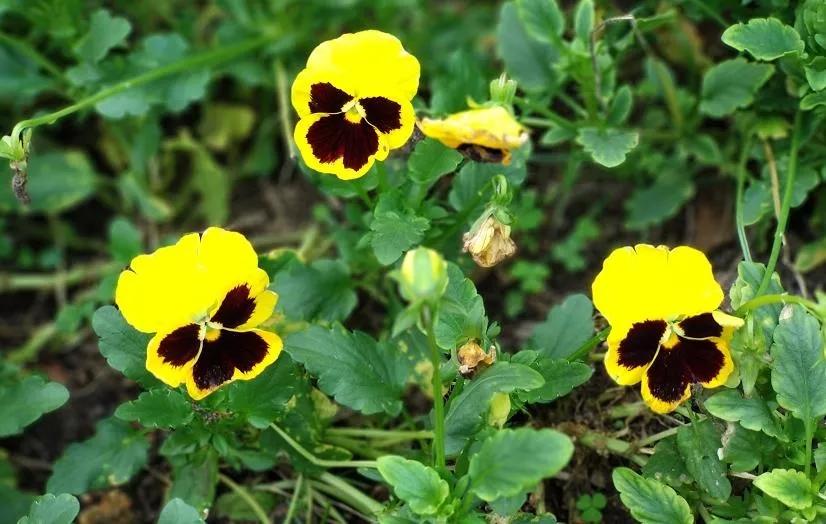 朋友圈设置多久可见最好,设置朋友圈三天可见有记录吗