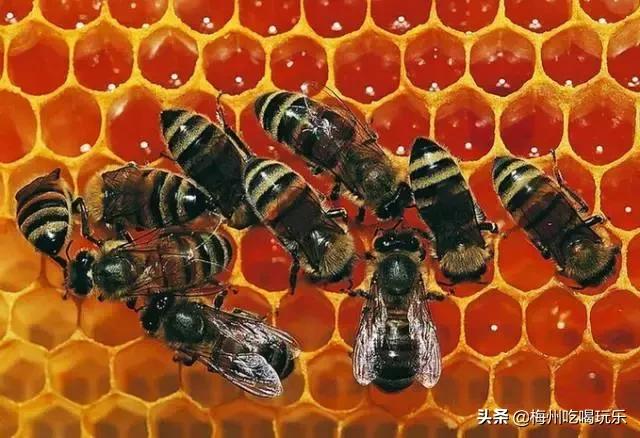 听说梅州人口味这么重，我上去就是一巴掌