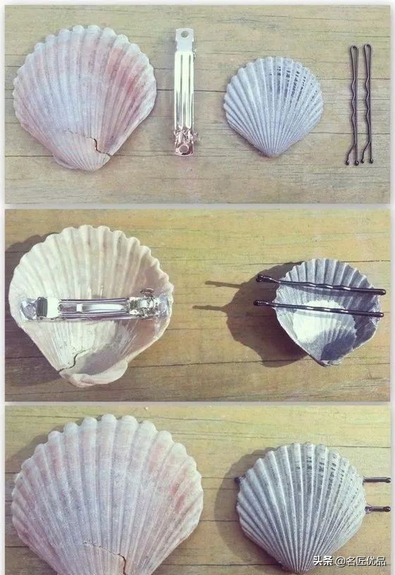大海的馈赠咋做,大海的馈赠贝壳