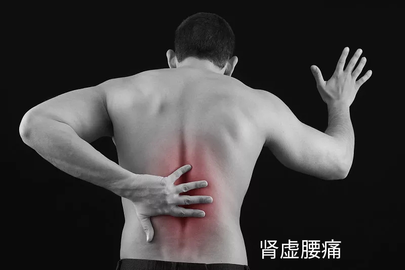 气血虚肾虚怎么调理最好,肾虚气血不足怎么补气血