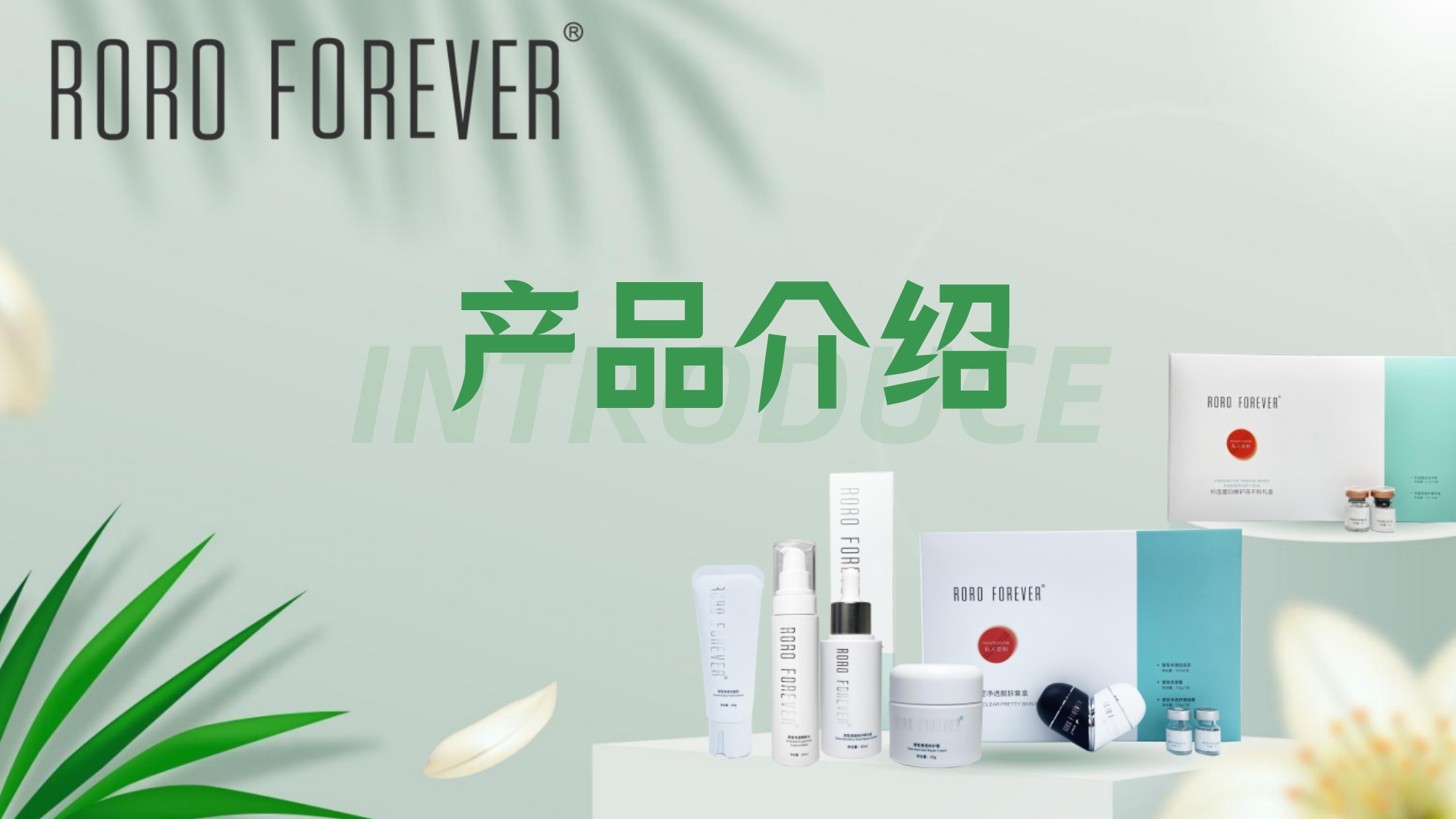 班敏逗丨ROROFOREVER全系产品介绍