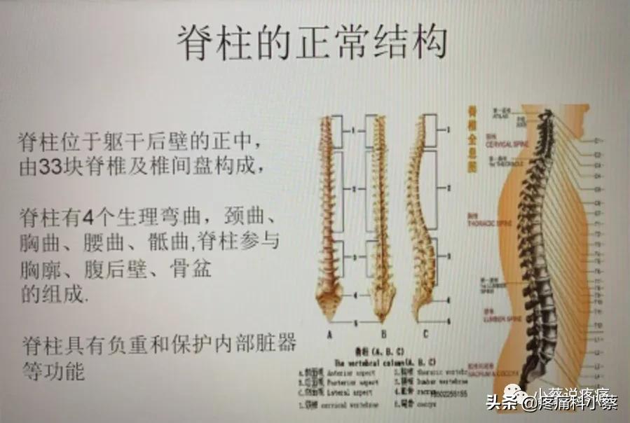 蔡主任讲座视频,蔡主任团队