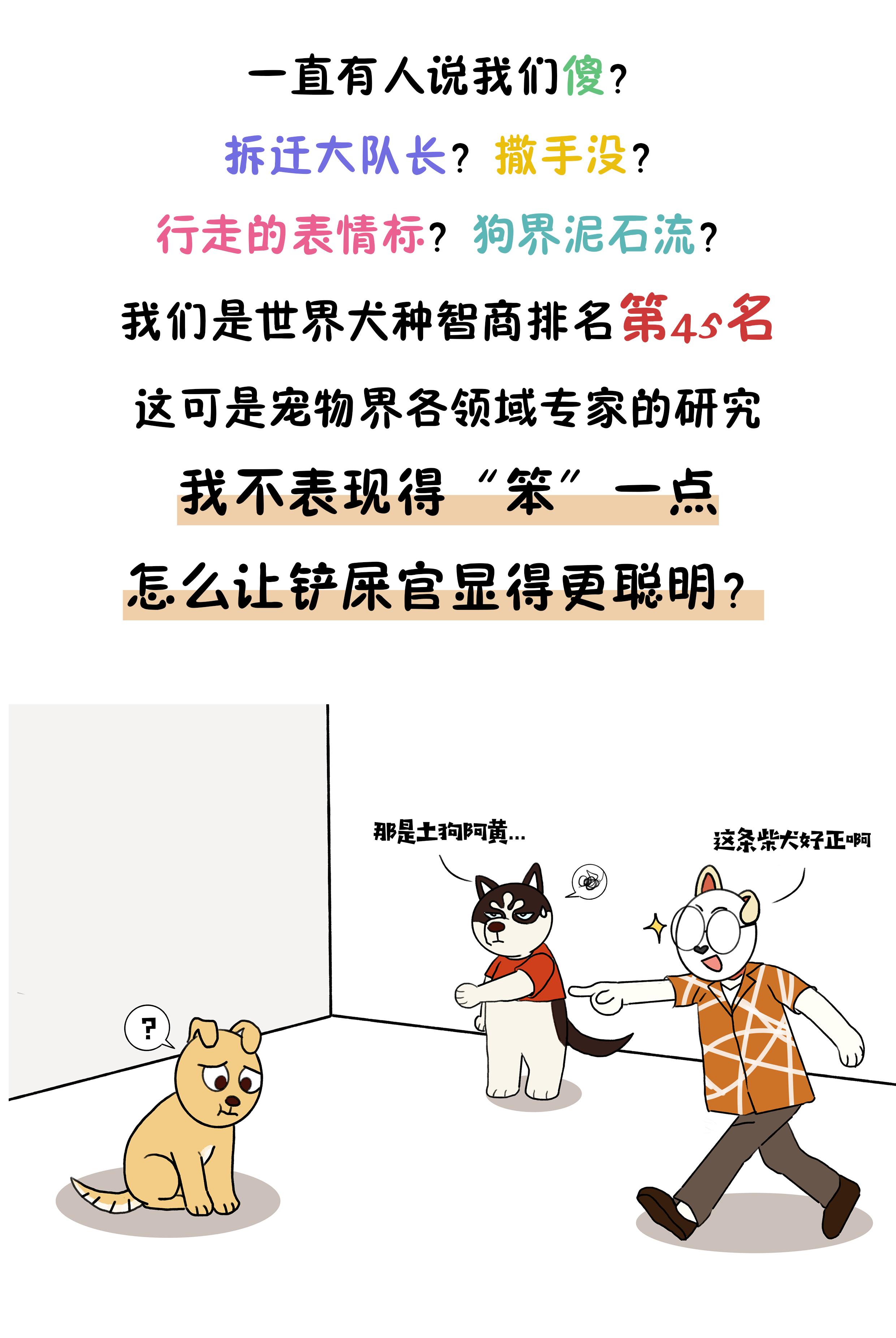 作为狗界泥石流,哈士奇当真这么笨?辟谣:服从性不等于智商