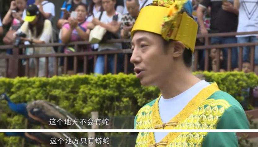 撒贝宁野狼disco是哪一期,撒贝宁野狼disco惊艳全场