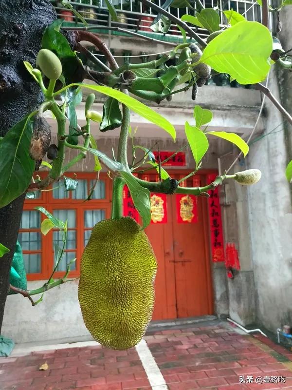 每天都有你想吃的海鲜美食,海鲜美食等你来品尝