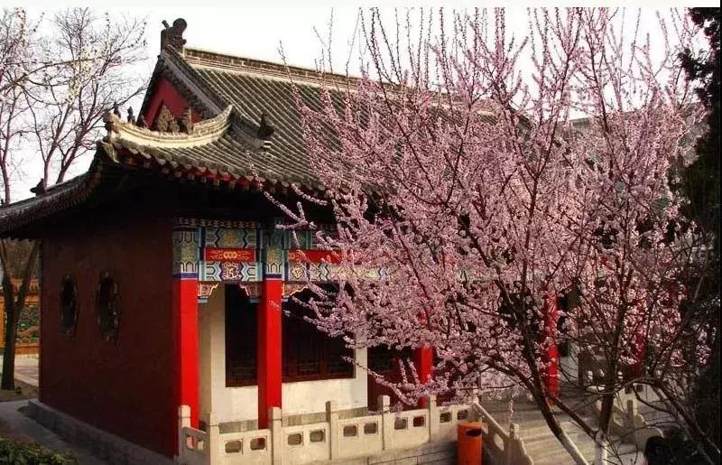 天津夜景打卡地点推荐,天津必去的十大打卡地你走过几处