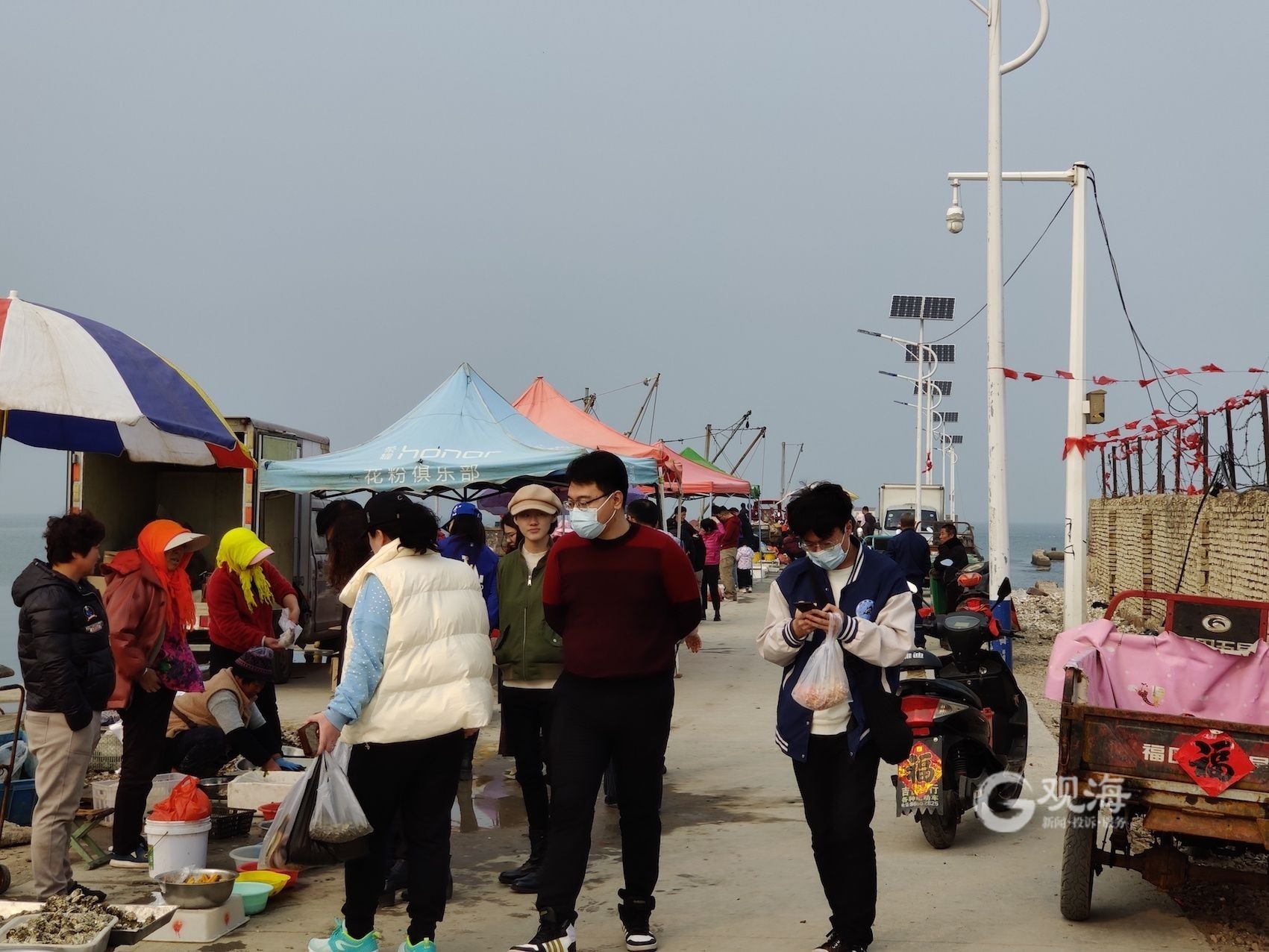 即墨开海上哪个码头买海货新鲜,渔船靠岸搜罗带一手新鲜靓海鲜