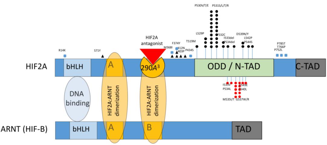 诺奖发明药品能治癌症吗,诺奖科研项目