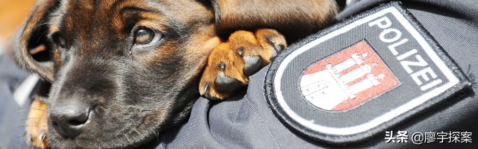 寰峰浗宸炴棗璀﹀窘,寰峰浗鍚勫窞璀﹀窘