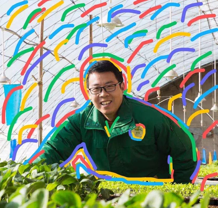 真正的有机农场纯天然蔬菜,种菜有机食品有哪些