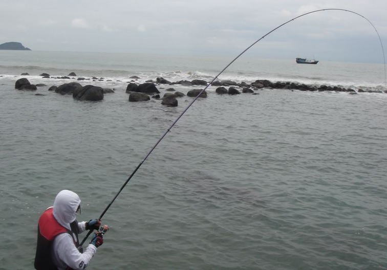 钓了这么多年的鱼,钓了这么多年鱼