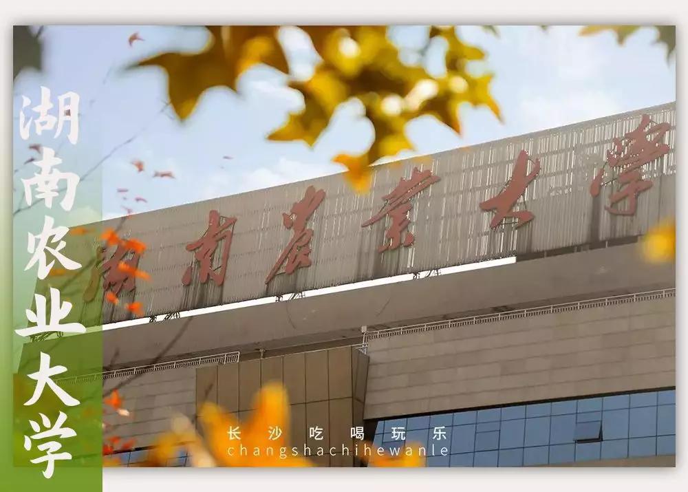 母校我想你,想你母校