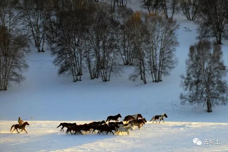 坝上摄影攻略,坝上夏季摄影