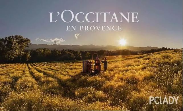 欧舒丹蜡菊面霜蓝瓶,欧舒丹蜡菊晚霜使用方法