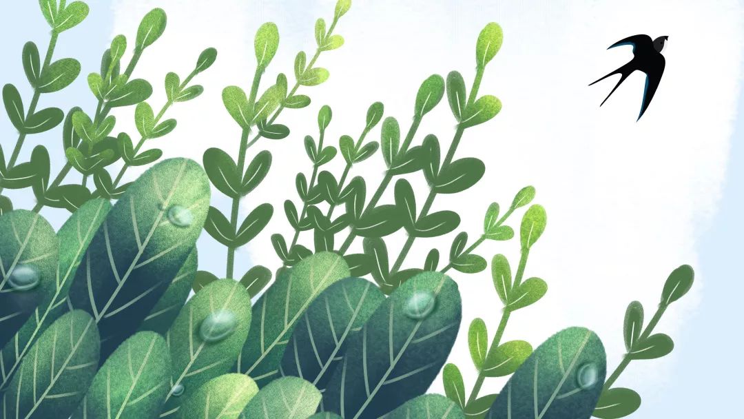 小学必考古诗及文学常识,面试小学语文古诗常考篇目