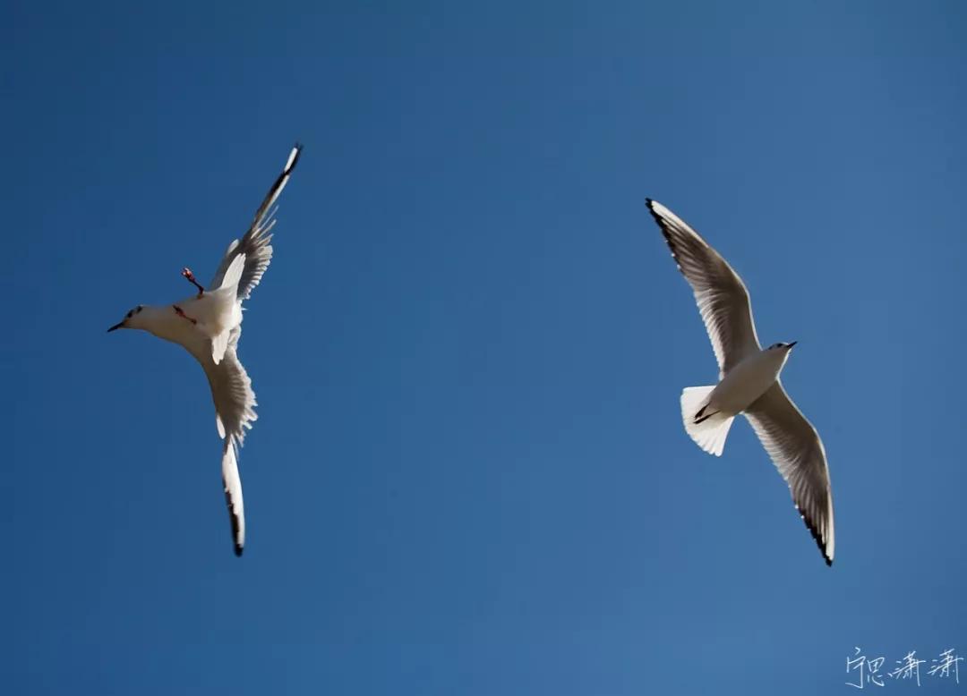 拍照用点对焦还是自动区域对焦,对焦的奥秘视频拍摄中的对焦技巧