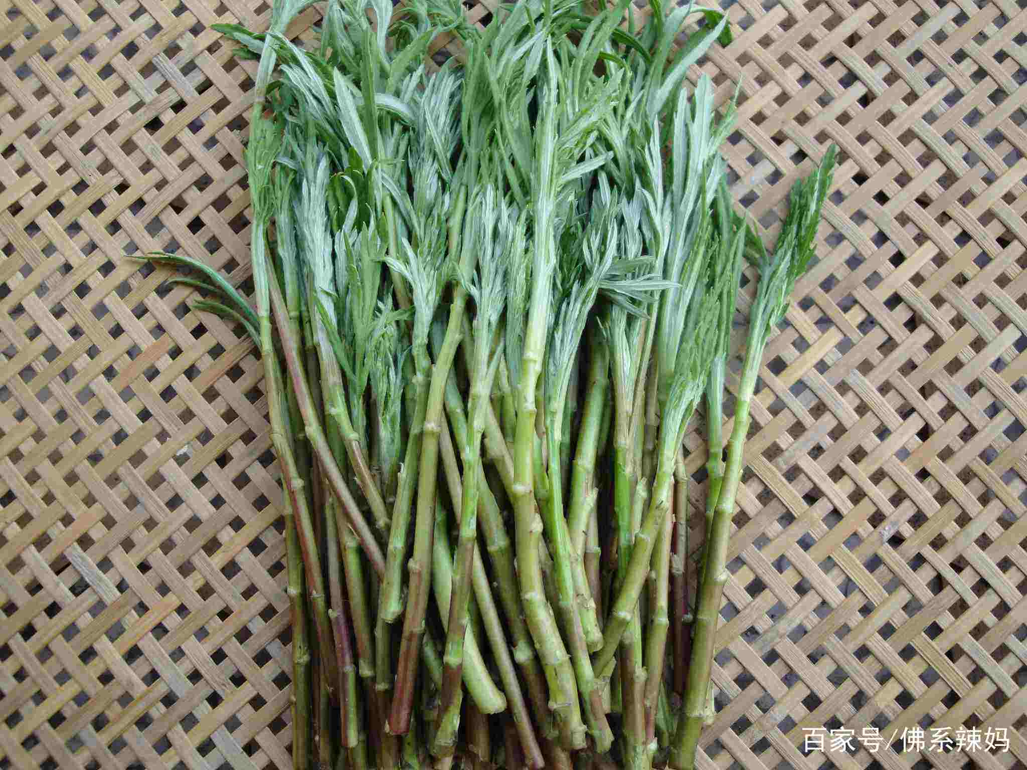 孕妈妈食谱5个月,春季炖汤食谱大全