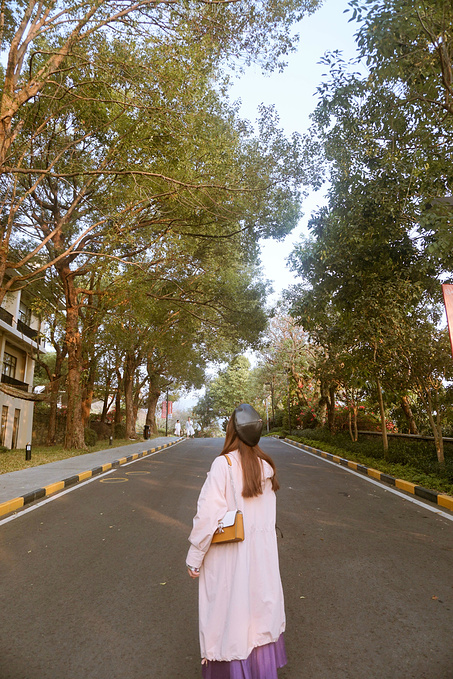 广州巴厘岛免费景点,广州温泉度假攻略