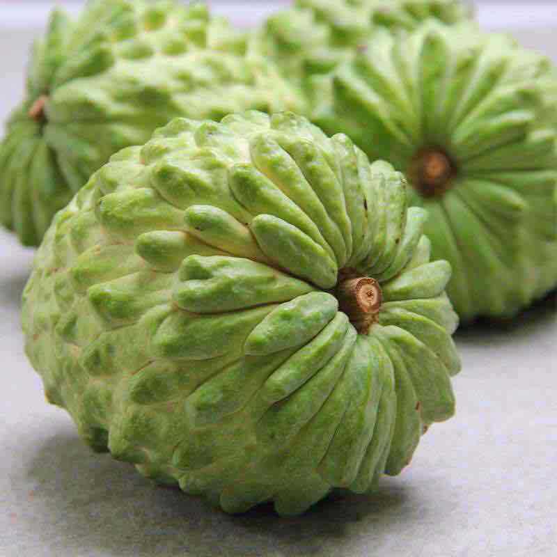 当年凤梨释迦怎么修枝,台湾凤梨释迦果功效