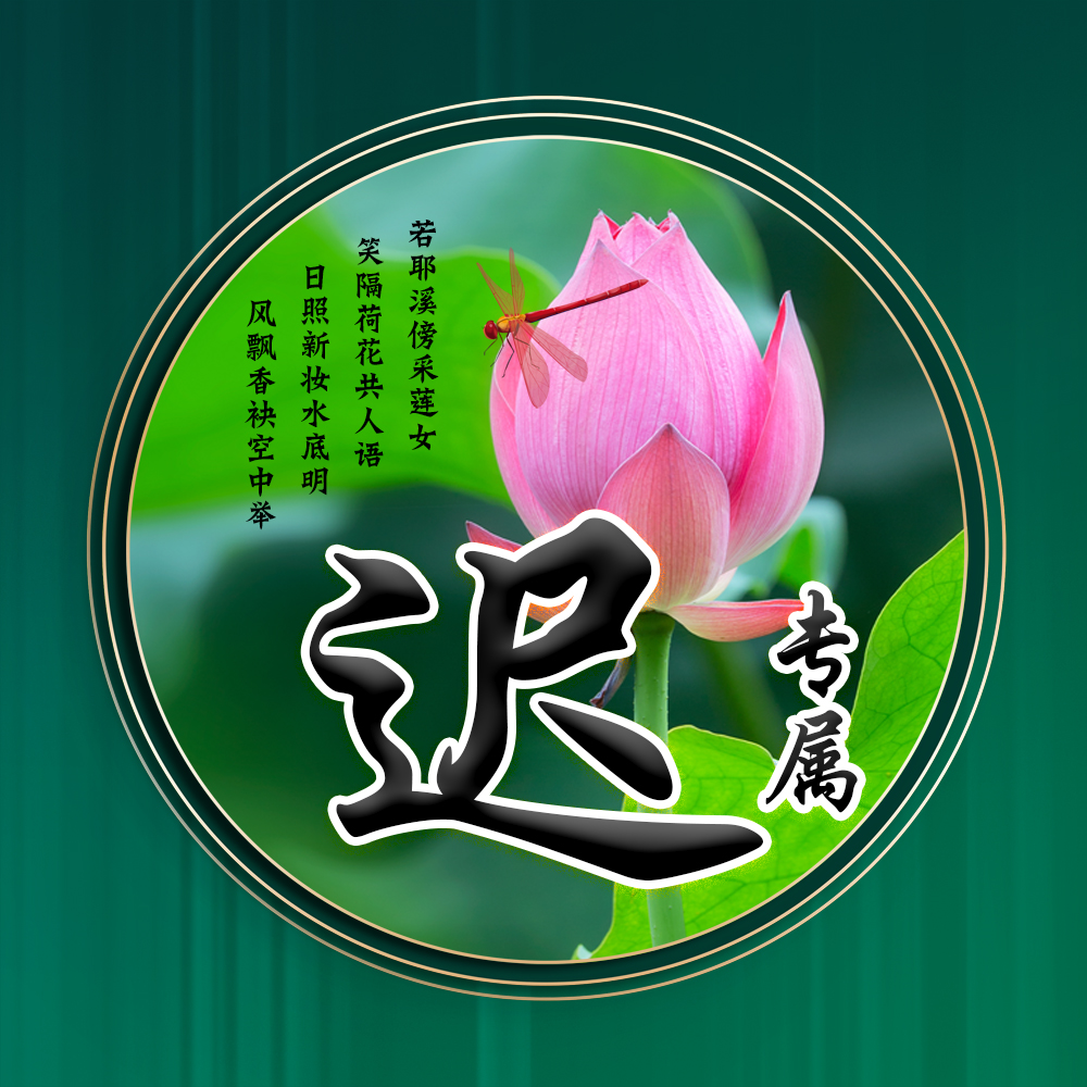 100张唯美荷花姓氏头像,适合做头像的荷花图片清晰点的