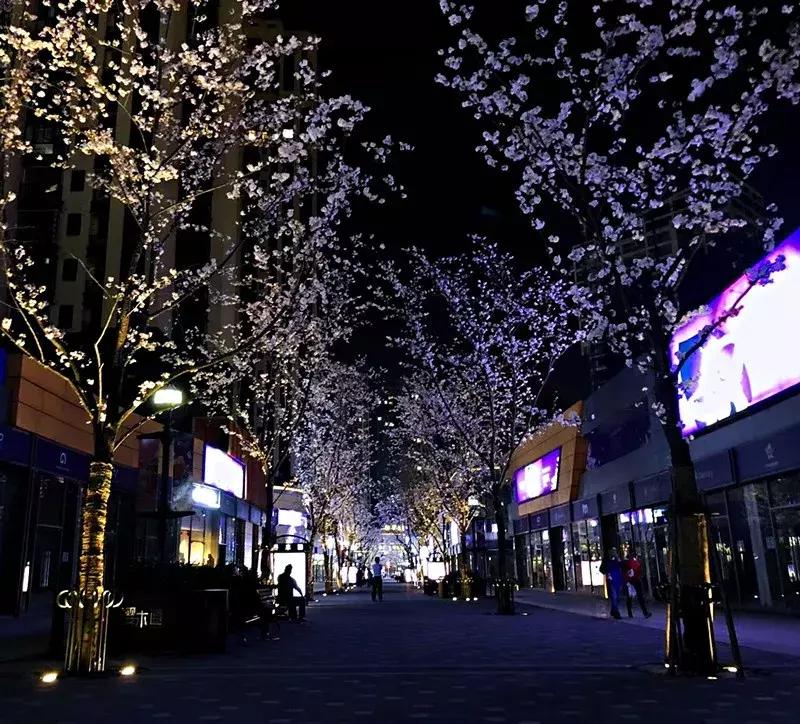 抚州樱花景区,抚州看樱花的地方