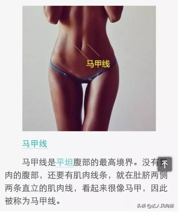 男女生身高体重标准对照表,标准衣服码数对照表身高体重