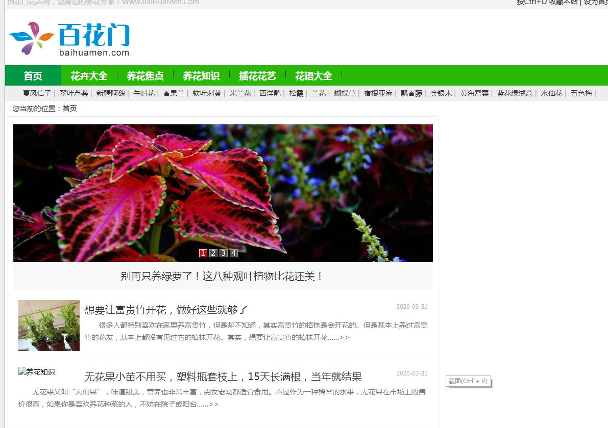 花儿为啥这样红,花儿为什么这样红科普小视频