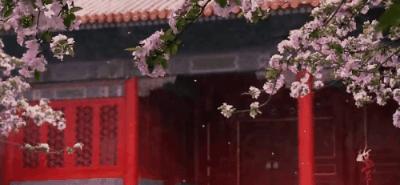 令人惊叹的东方美,迷倒众生的美貌