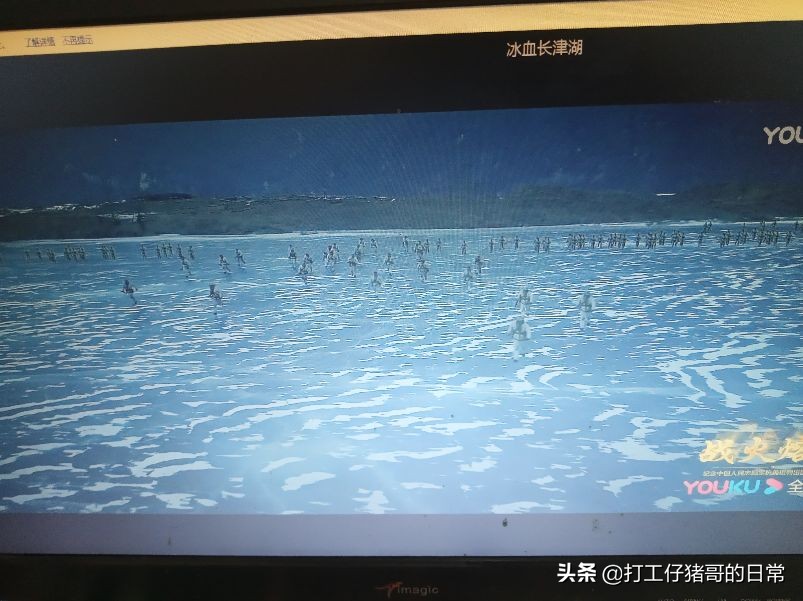 战火熔炉观后感范文,观看战火熔炉电影的观后感