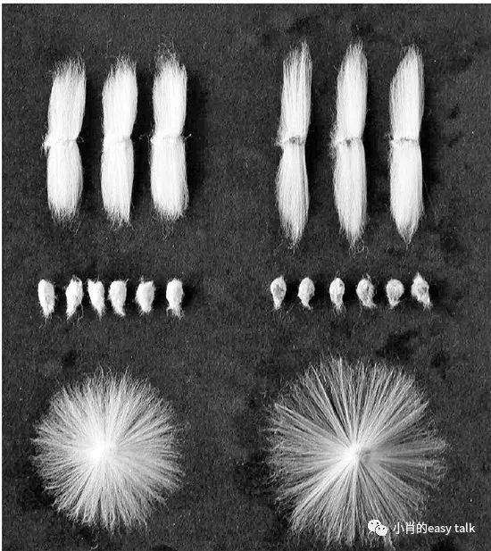 三件套水洗棉面料知识,面料三维视频