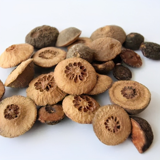 执业中药师常用单味药,中药药剂师必看的书