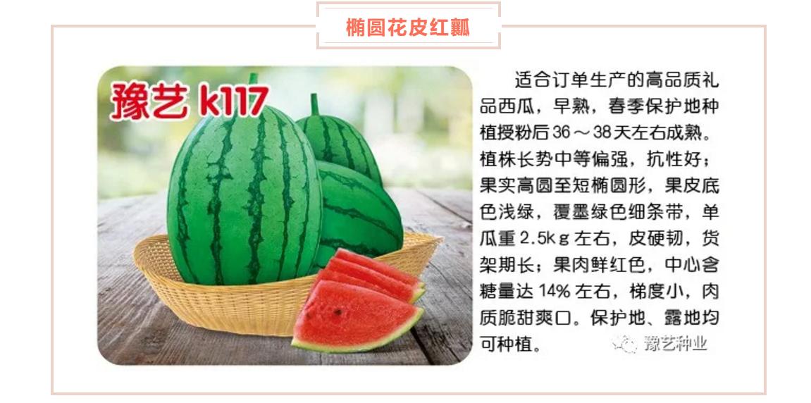 西瓜高产栽培管理技术之二,西瓜高产栽培技术及管理