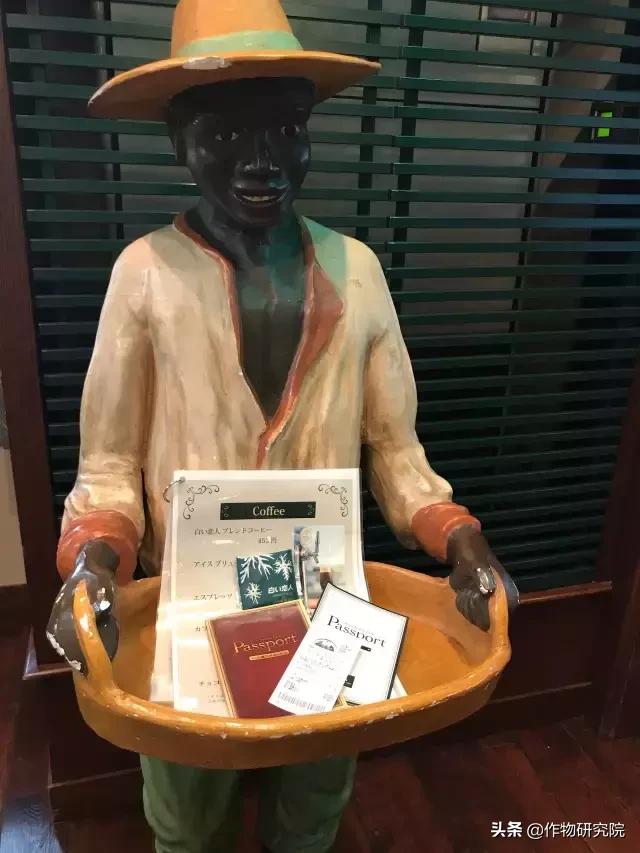 日式网红薄饼干,日本饼干伴手礼